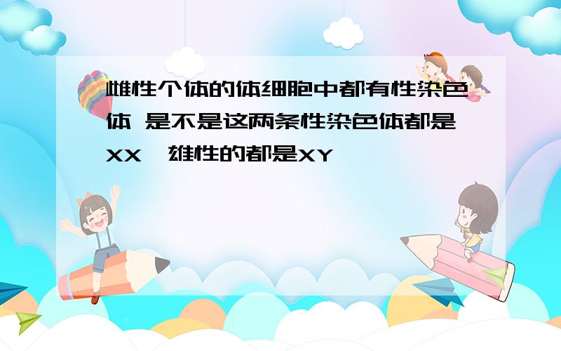 雌性个体的体细胞中都有性染色体 是不是这两条性染色体都是XX,雄性的都是XY