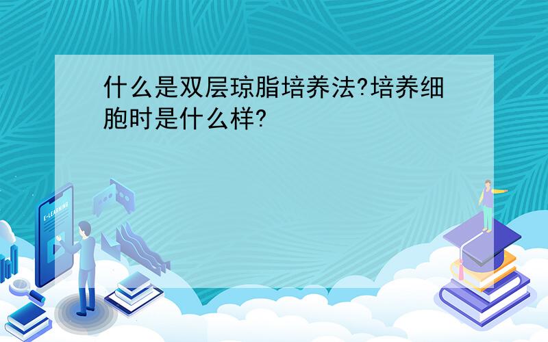 什么是双层琼脂培养法?培养细胞时是什么样?