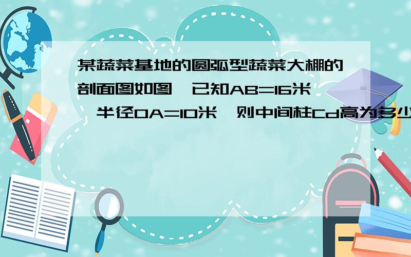 某蔬菜基地的圆弧型蔬菜大棚的剖面图如图,已知AB=16米,半径OA=10米,则中间柱Cd高为多少