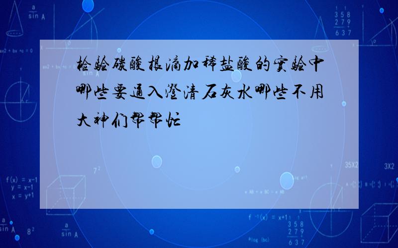 检验碳酸根滴加稀盐酸的实验中哪些要通入澄清石灰水哪些不用大神们帮帮忙