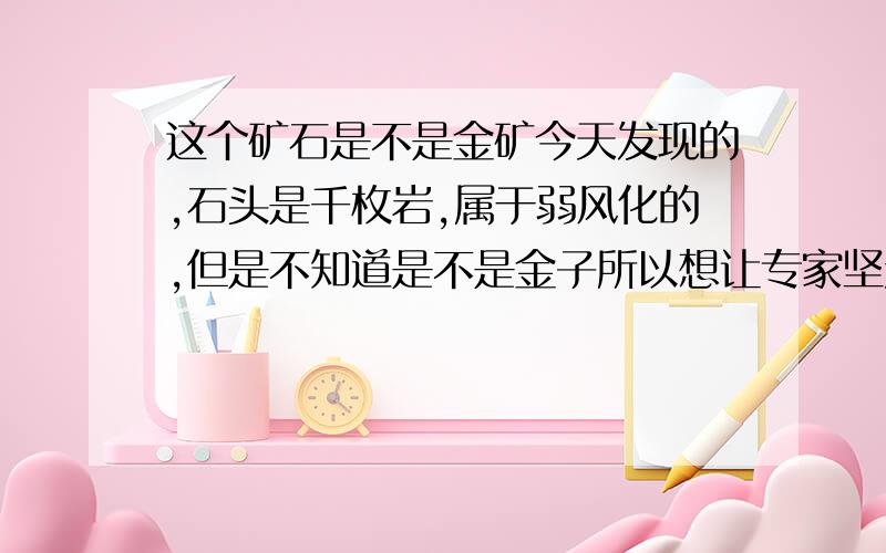 这个矿石是不是金矿今天发现的,石头是千枚岩,属于弱风化的,但是不知道是不是金子所以想让专家坚定一下,也是好奇弄着玩的我们