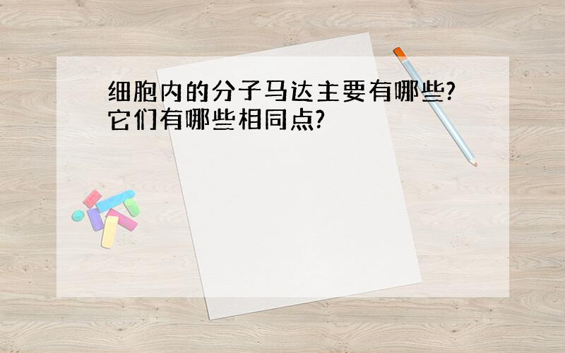 细胞内的分子马达主要有哪些?它们有哪些相同点?