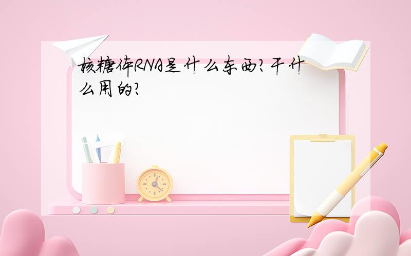 核糖体RNA是什么东西?干什么用的?