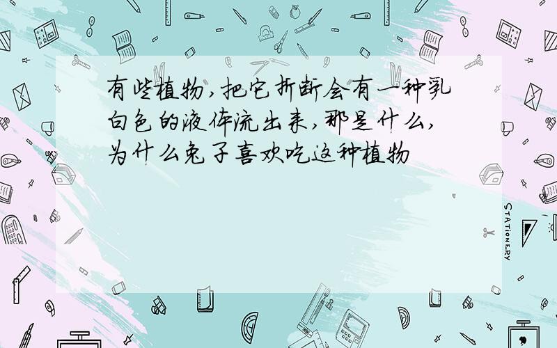 有些植物,把它折断会有一种乳白色的液体流出来,那是什么,为什么兔子喜欢吃这种植物