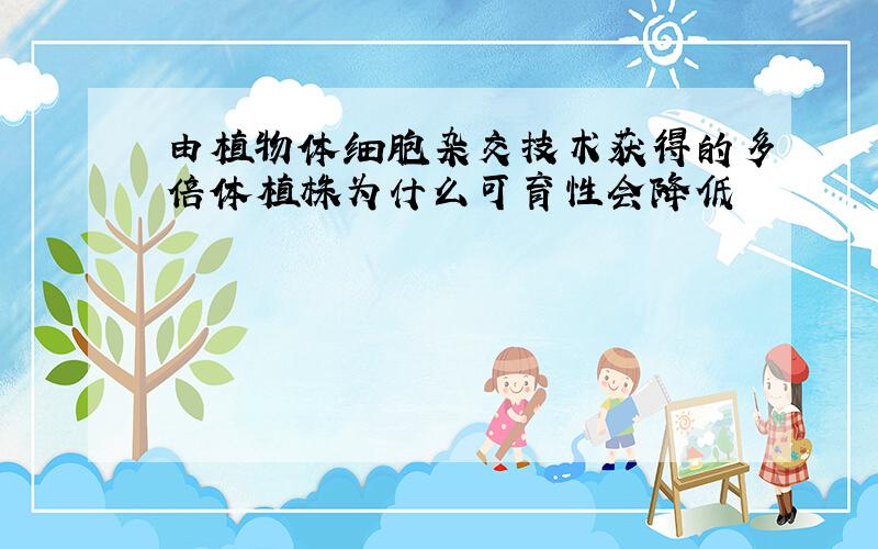 由植物体细胞杂交技术获得的多倍体植株为什么可育性会降低