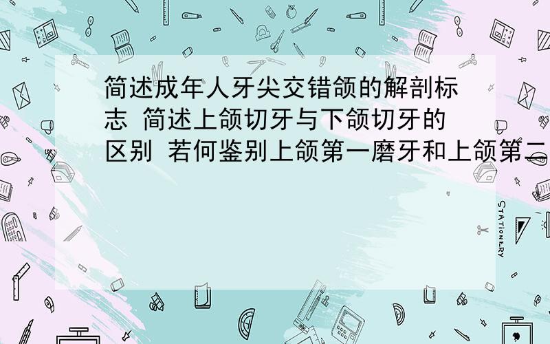 简述成年人牙尖交错颌的解剖标志 简述上颌切牙与下颌切牙的区别 若何鉴别上颌第一磨牙和上颌第二磨牙