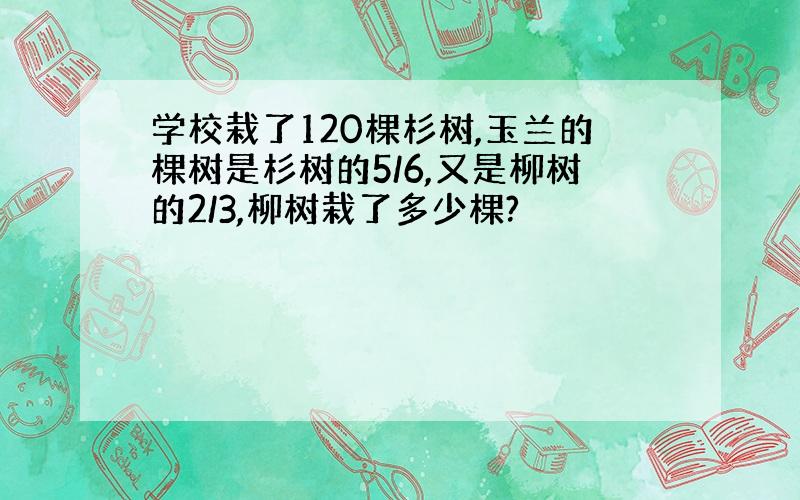 学校栽了120棵杉树,玉兰的棵树是杉树的5/6,又是柳树的2/3,柳树栽了多少棵?