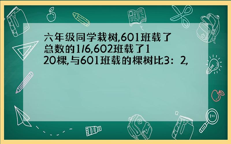 六年级同学栽树,601班载了总数的1/6,602班载了120棵,与601班载的棵树比3：2,