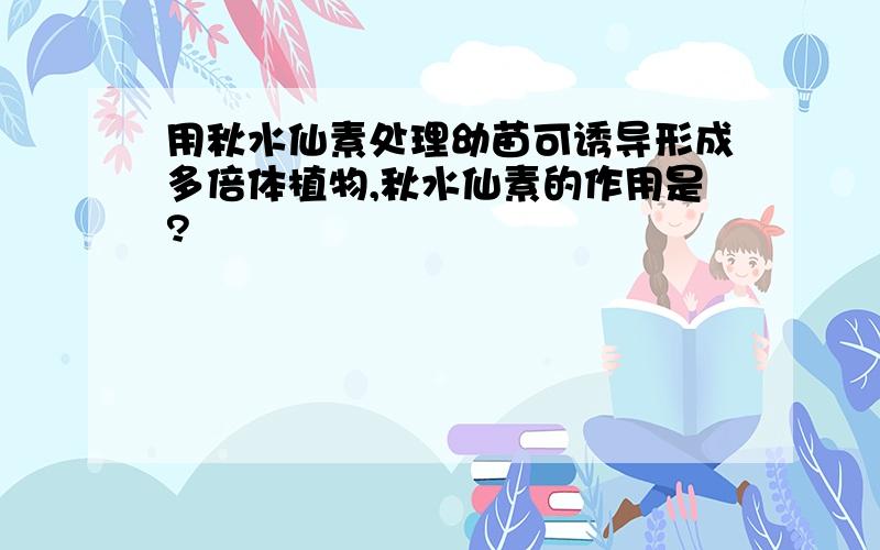 用秋水仙素处理幼苗可诱导形成多倍体植物,秋水仙素的作用是?