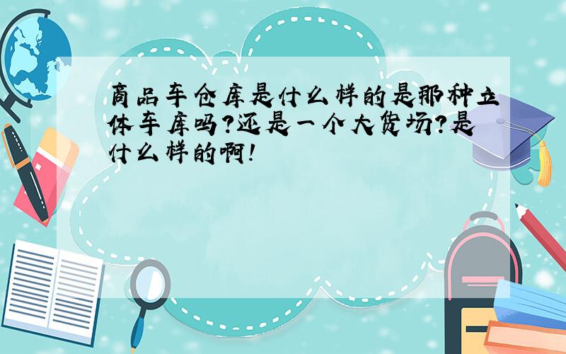 商品车仓库是什么样的是那种立体车库吗?还是一个大货场?是什么样的啊!