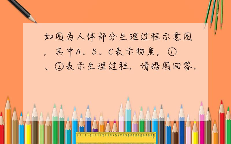 如图为人体部分生理过程示意图，其中A、B、C表示物质，①、②表示生理过程．请据图回答．