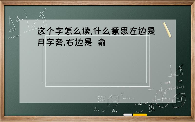 这个字怎么读,什么意思左边是月字旁,右边是 俞