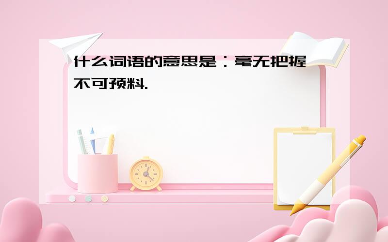 什么词语的意思是：毫无把握,不可预料.