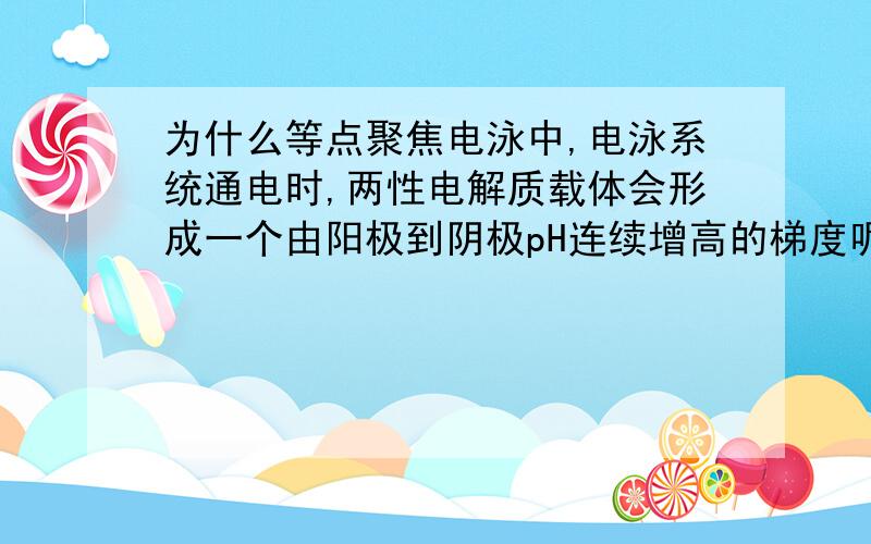 为什么等点聚焦电泳中,电泳系统通电时,两性电解质载体会形成一个由阳极到阴极pH连续增高的梯度呢?