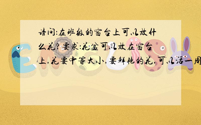 请问：在班级的窗台上可以放什么花?要求：花盆可以放在窗台上,花要中等大小,要鲜艳的花,可以活一周.