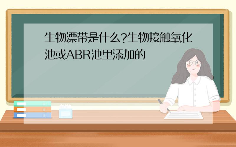 生物漂带是什么?生物接触氧化池或ABR池里添加的