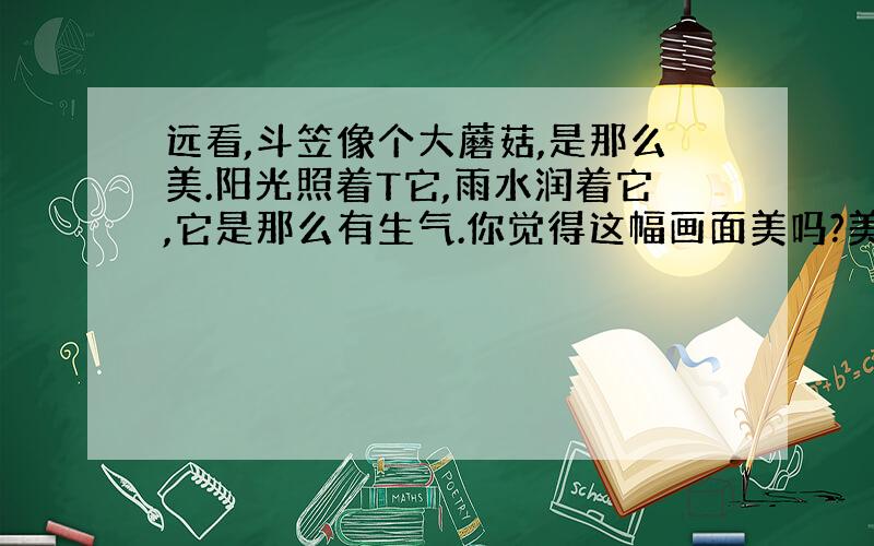 远看,斗笠像个大蘑菇,是那么美.阳光照着T它,雨水润着它,它是那么有生气.你觉得这幅画面美吗?美