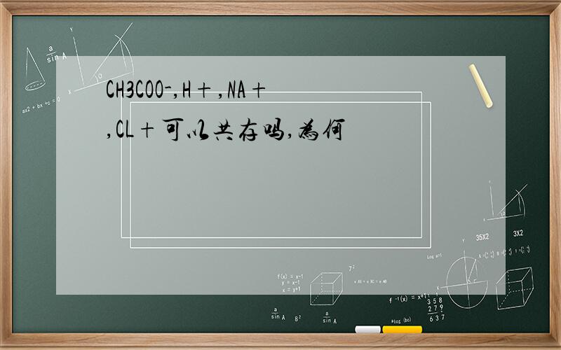 CH3COO-,H+,NA+,CL+可以共存吗,为何