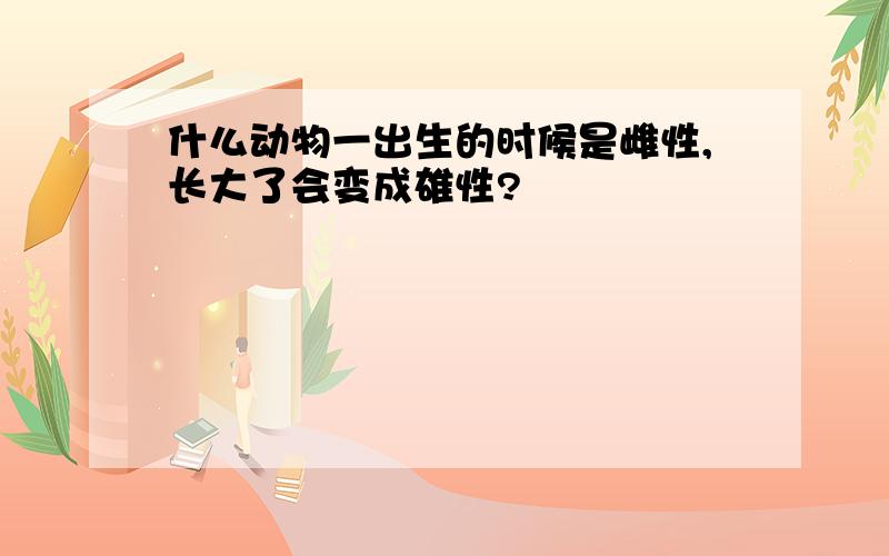 什么动物一出生的时候是雌性,长大了会变成雄性?