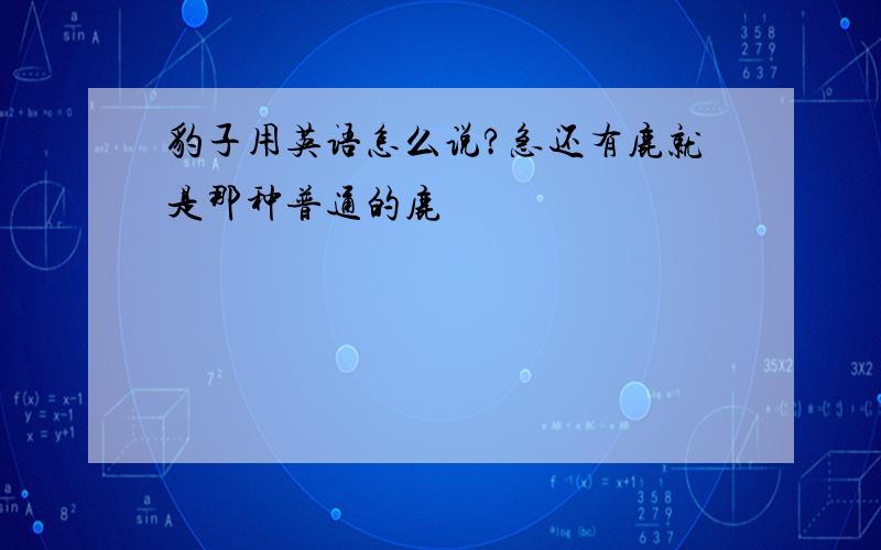 豹子用英语怎么说?急还有鹿就是那种普通的鹿