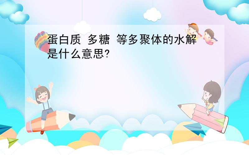 蛋白质 多糖 等多聚体的水解是什么意思?