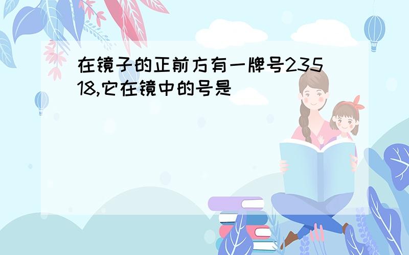 在镜子的正前方有一牌号23518,它在镜中的号是