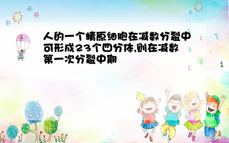 人的一个精原细胞在减数分裂中可形成23个四分体,则在减数第一次分裂中期