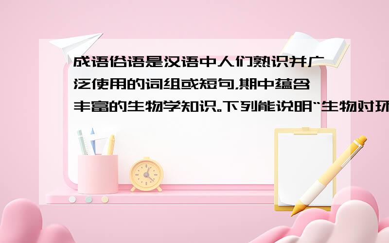 成语俗语是汉语中人们熟识并广泛使用的词组或短句，期中蕴含丰富的生物学知识。下列能说明“生物对环境有影响”的是（ 