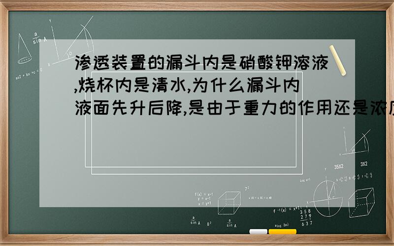 渗透装置的漏斗内是硝酸钾溶液,烧杯内是清水,为什么漏斗内液面先升后降,是由于重力的作用还是浓度差的缘故?