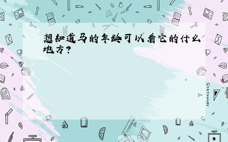 想知道马的年龄可以看它的什么地方?