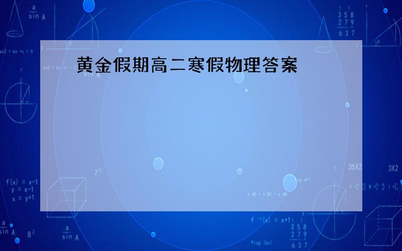 黄金假期高二寒假物理答案