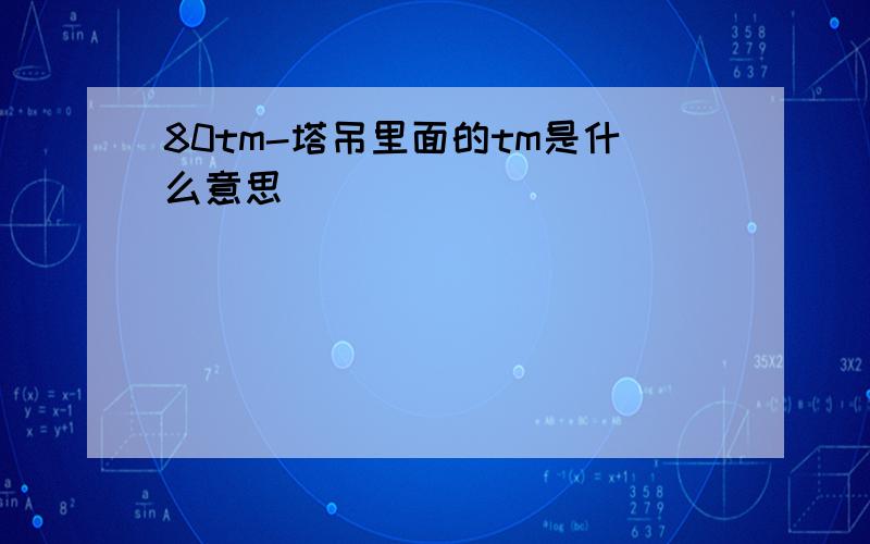 80tm-塔吊里面的tm是什么意思