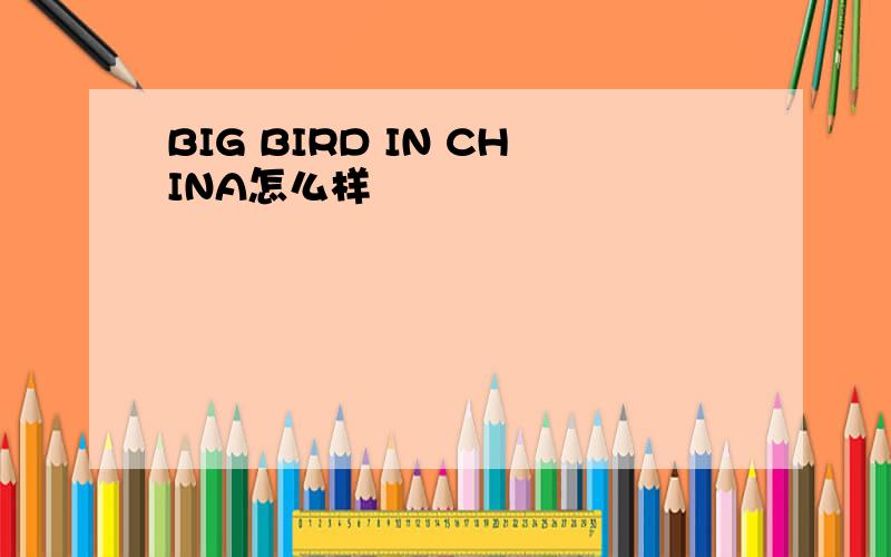 BIG BIRD IN CHINA怎么样