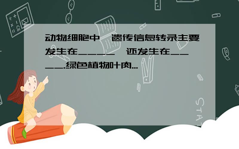 动物细胞中,遗传信息转录主要发生在____,还发生在____.绿色植物叶肉...