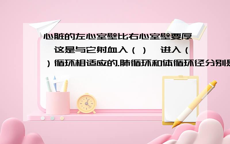 心脏的左心室壁比右心室壁要厚,这是与它射血入（）,进入（）循环相适应的.肺循环和体循环径分别是什么?