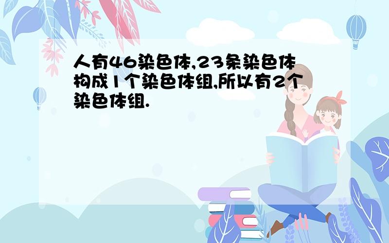 人有46染色体,23条染色体构成1个染色体组,所以有2个染色体组.