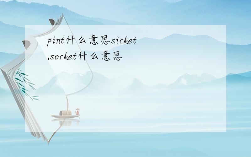 pint什么意思sicket,socket什么意思