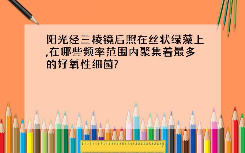 阳光经三棱镜后照在丝状绿藻上,在哪些频率范围内聚集着最多的好氧性细菌?