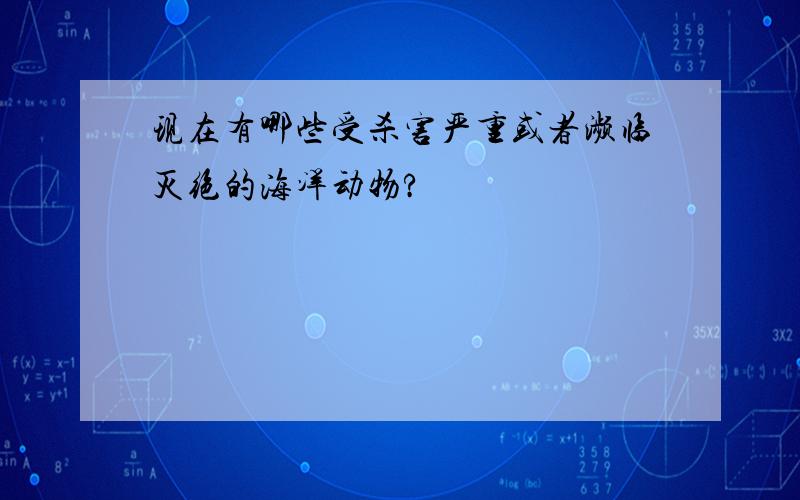 现在有哪些受杀害严重或者濒临灭绝的海洋动物?