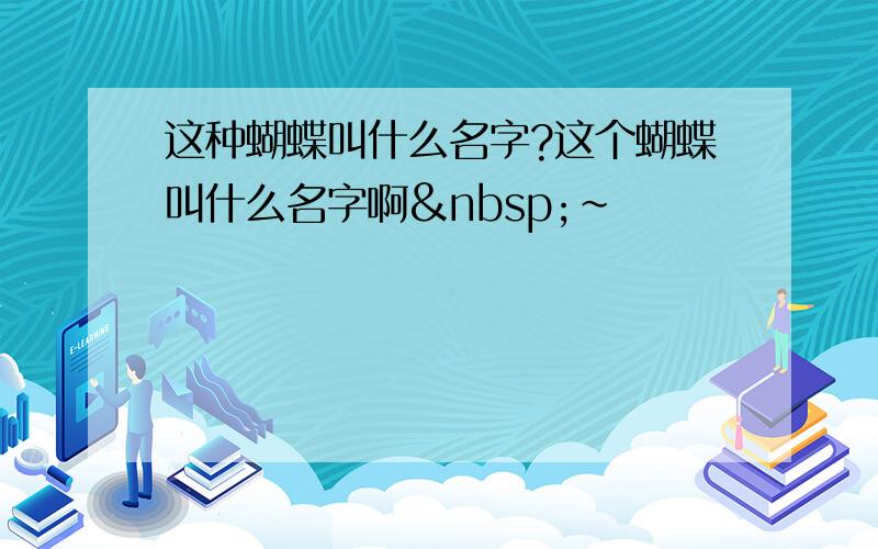 这种蝴蝶叫什么名字?这个蝴蝶叫什么名字啊 ~