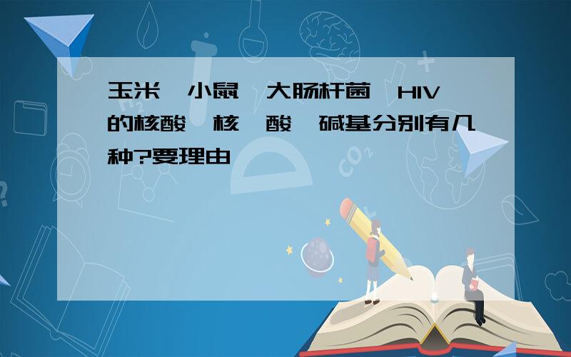 玉米、小鼠、大肠杆菌、HIV的核酸、核苷酸、碱基分别有几种?要理由