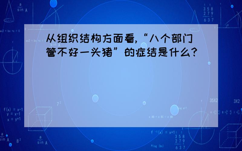 从组织结构方面看,“八个部门管不好一头猪”的症结是什么?