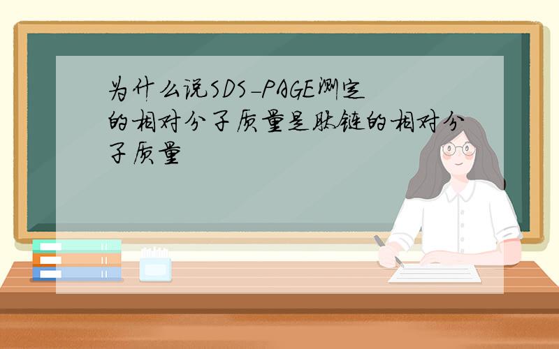 为什么说SDS-PAGE测定的相对分子质量是肽链的相对分子质量