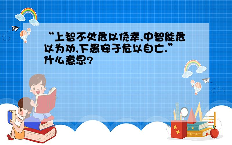 “上智不处危以侥幸,中智能危以为功,下愚安于危以自亡.”什么意思?