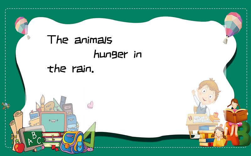 The animals ______hunger in the rain.