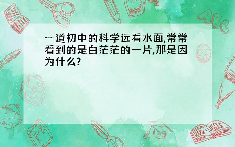 一道初中的科学远看水面,常常看到的是白茫茫的一片,那是因为什么?