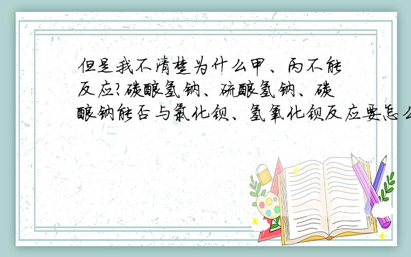 但是我不清楚为什么甲、丙不能反应?碳酸氢钠、硫酸氢钠、碳酸钠能否与氯化钡、氢氧化钡反应要怎么判断?