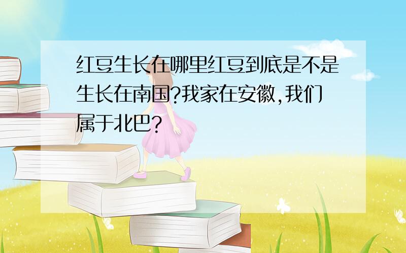 红豆生长在哪里红豆到底是不是生长在南国?我家在安徽,我们属于北巴?