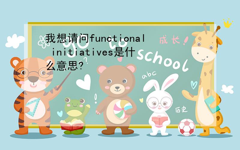 我想请问functional initiatives是什么意思?