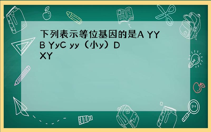 下列表示等位基因的是A YYB YyC yy（小y）D XY